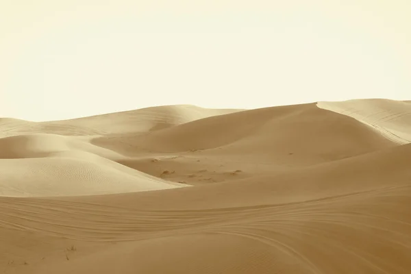 Dunas en el desierto —  Fotos de Stock