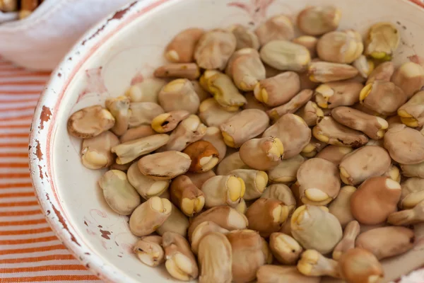 Fava beans underwater — Stock Photo, Image