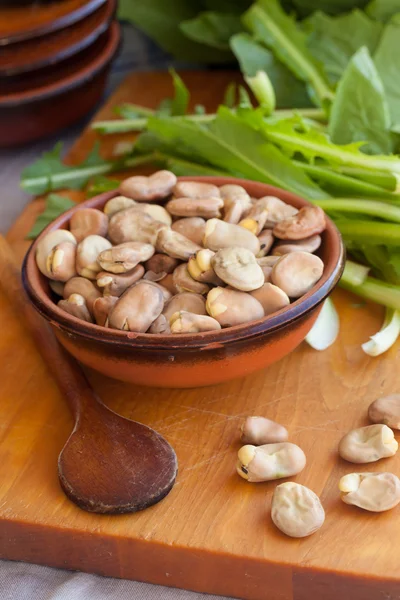 Fava beans and chicory — Stock Photo, Image