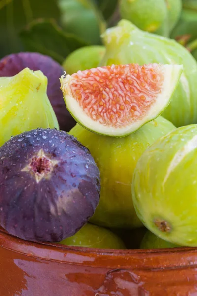 Figs — Stock Photo, Image