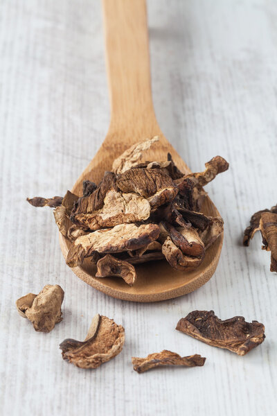 Dried mushrooms