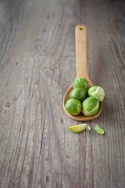 Bruxelles sprouts — Stock Photo, Image