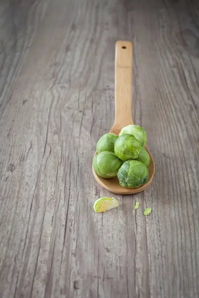 Bruxelles sprouts — Stock fotografie