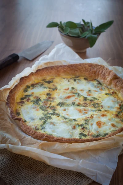 Quiche com presunto e sábio — Fotografia de Stock