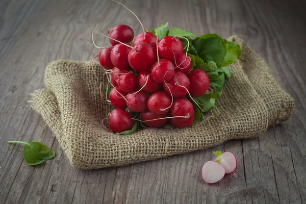 Radishes — Stock Photo, Image