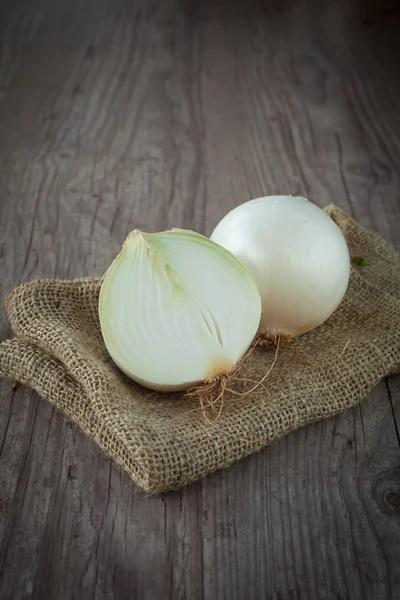 Weiße Zwiebel — Stockfoto