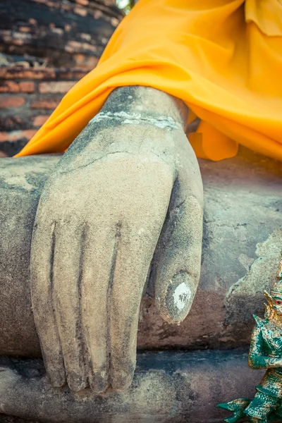 Buddha hand — Stock Photo, Image