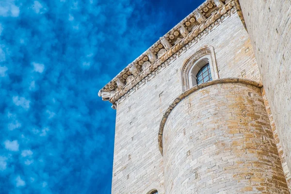 Katedral Trani — Stok Foto