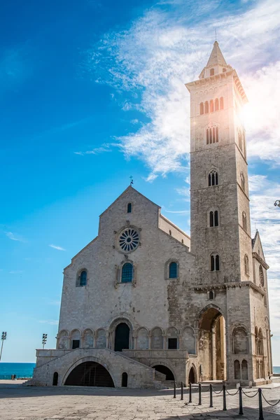 Cathédrale de Trani — Photo