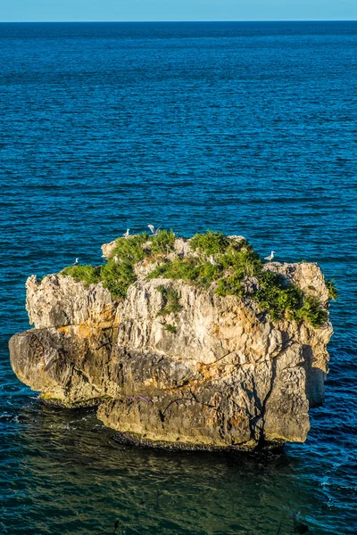 Mare di Peschici — Foto Stock