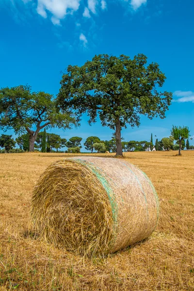 Garben aus Stroh, Region Apulien — Stockfoto