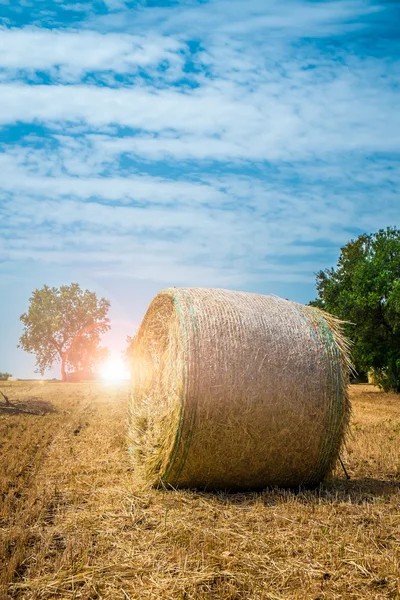 Bainhas de palha, região da Apúlia — Fotografia de Stock