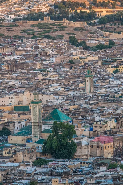 Fes medinaΠροβολή μουσουλμανική επιχειρήσεων γυναίκα με ανοιχτό χέρι φοίνικες για ερώτηση — Stock fotografie