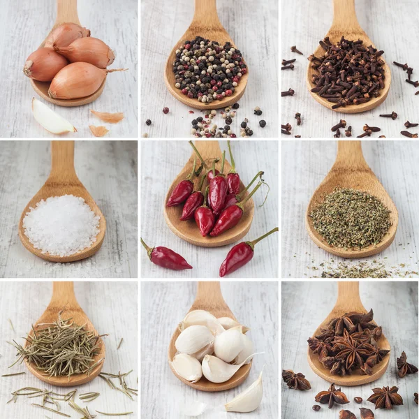 Spices collage — Stock Photo, Image