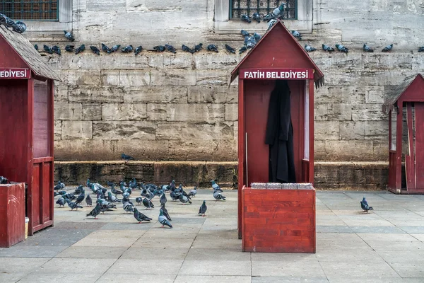 Fåglarna mat säljare i istanbul — Stockfoto