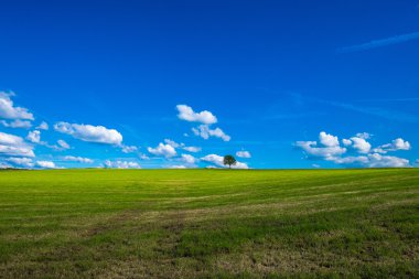 rahatlatıcı peyzaj