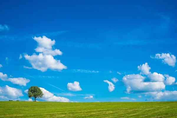 Paisaje relajante — Foto de Stock