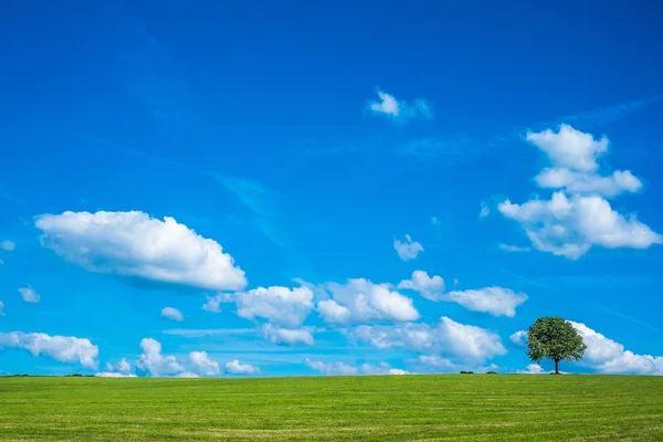 Paisaje relajante — Foto de Stock