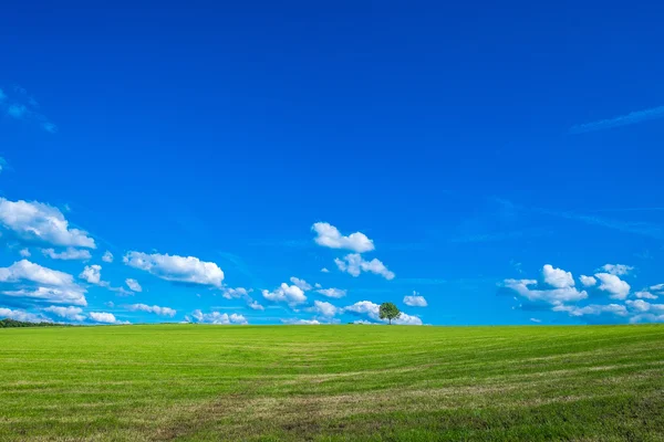 Relaxing landscape — Stock Photo, Image