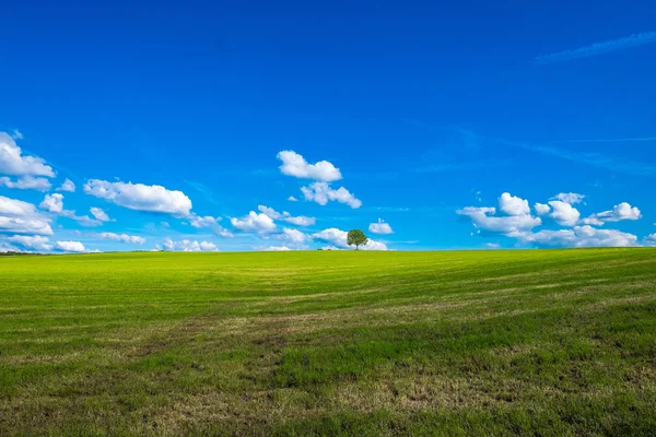 Relaxing landscape — Stock Photo, Image