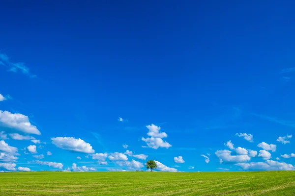 Paisaje relajante — Foto de Stock