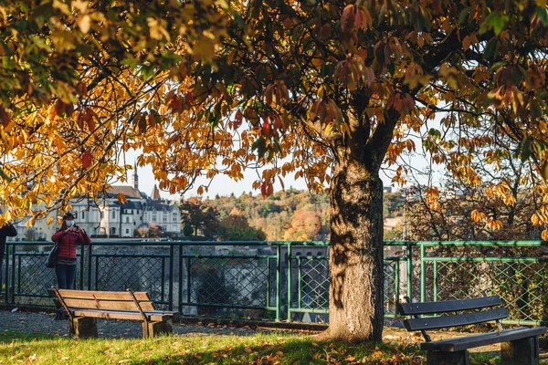Город Люксембург Октябрь 2021 Вишня Полной Листве Осенний Сезон — стоковое фото