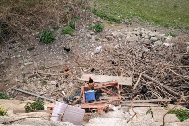 Saint Julian şehrinde vahşi tavuklar, Malta adası