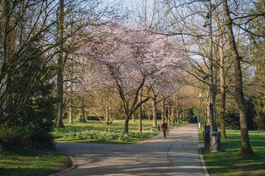 Lüksemburg / Nisan 2022: Şehir parklarında güneşli bir gün