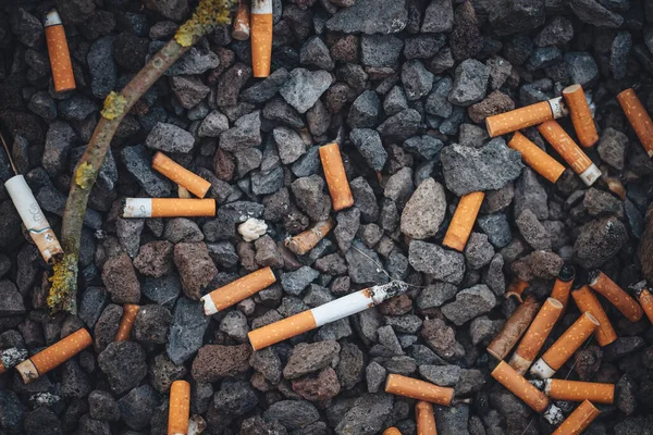 Rabos Cigarro Chão Cidade — Fotografia de Stock