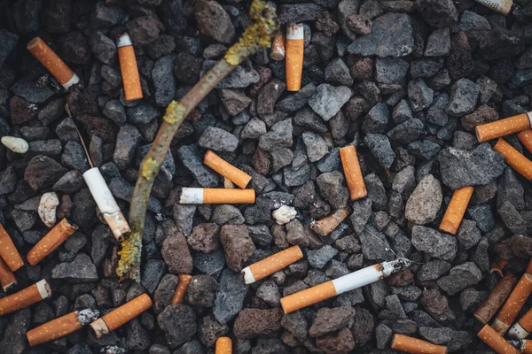 Cigarette Butts Floor City — Stockfoto