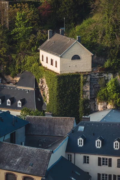 Luxemburg April 2022 Bloeiende Kersenboom Stad — Stockfoto