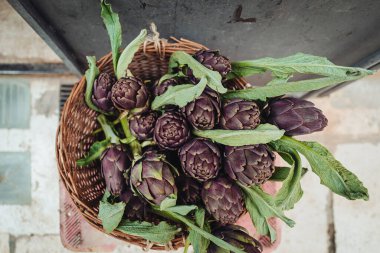 İtalya 'nın güneyinden taze enginarlar, Puglia