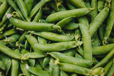 Mola di Bari, Puglia 'daki yerel tarım pazarından taze bezelyeler.