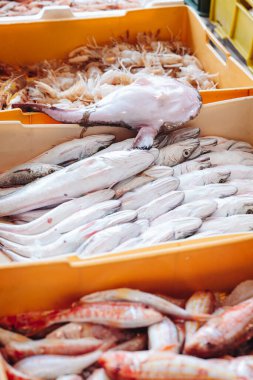 Puglia, İtalya 'daki yerel balık pazarından taze balıklar.