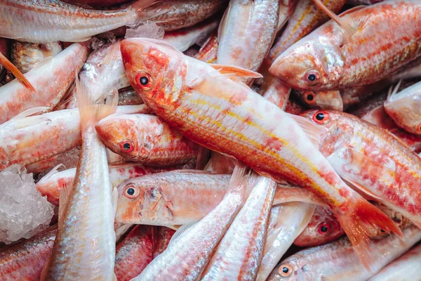 Fresh Fishes Local Fish Market Puglia Italy — Zdjęcie stockowe