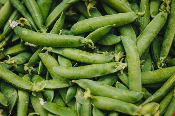 Piselli Verdi Freschi Del Mercato Agricolo Locale Mola Bari Puglia — Foto Stock