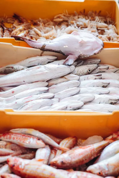 Puglia, İtalya 'daki yerel balık pazarından taze balıklar.