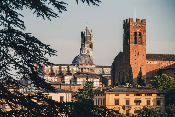 Siena Italia Septiembre 2021 Hermosa Arquitectura Del Casco Antiguo — Foto de Stock