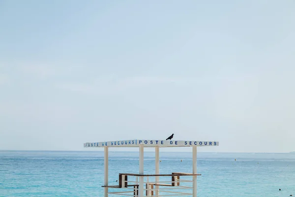 Nizza Frankreich Juni 2022 Eine Taube Auf Der Rettungswache Strand — Stockfoto
