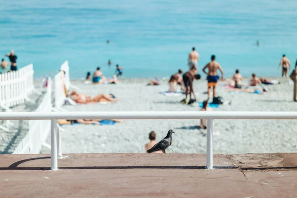 Niza Francia Junio 2022 Vida Junto Hermosa Playa Piedra — Foto de Stock