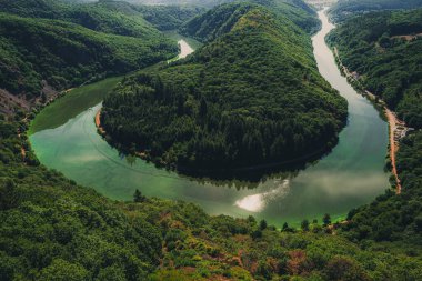 Saarschleife, Almanya 'daki Saar nehrinin manzarası.