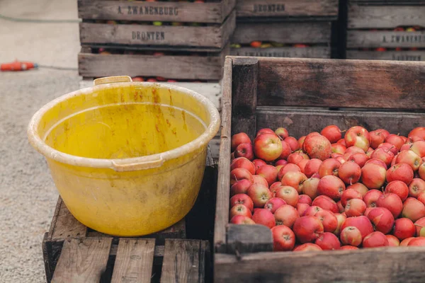 Steinsel Luxemburgo Septiembre 2022 Almacenamiento Cajas Madera Para Manzanas Frescas — Foto de Stock