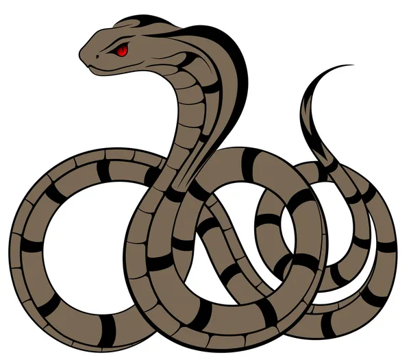 矢量蛇、 眼镜蛇 — 图库矢量图片