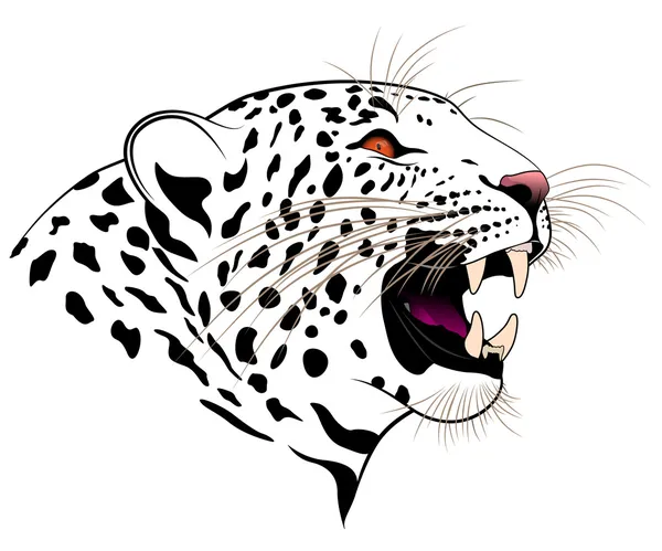 Vector leopard Rechtenvrije Stockillustraties