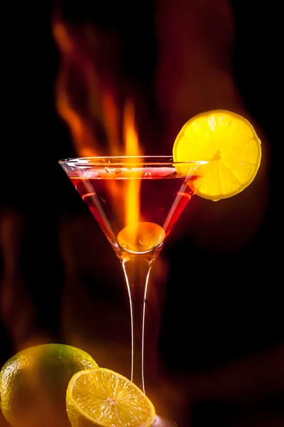 Farbenfroher Coctail — Stockfoto