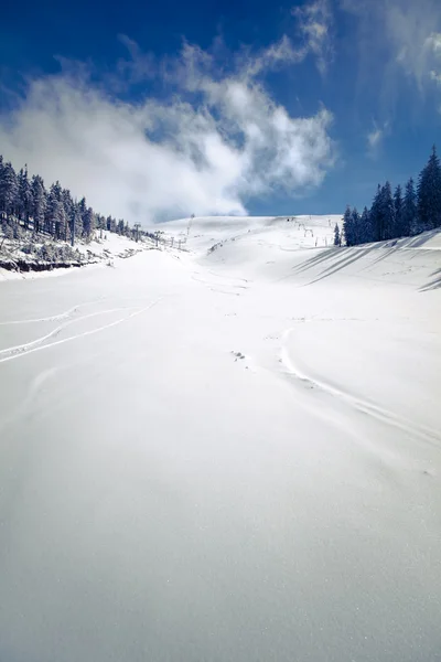 Winterlandschap — Stockfoto