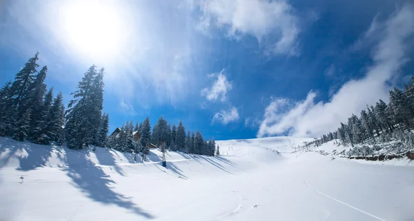 WInter Landscape — Stock Photo, Image