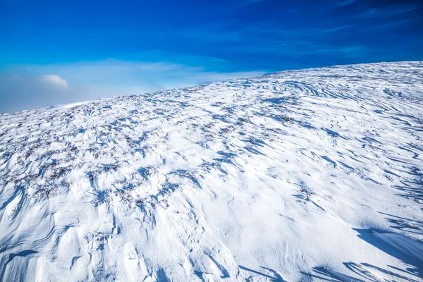 Paesaggio invernale — Foto Stock