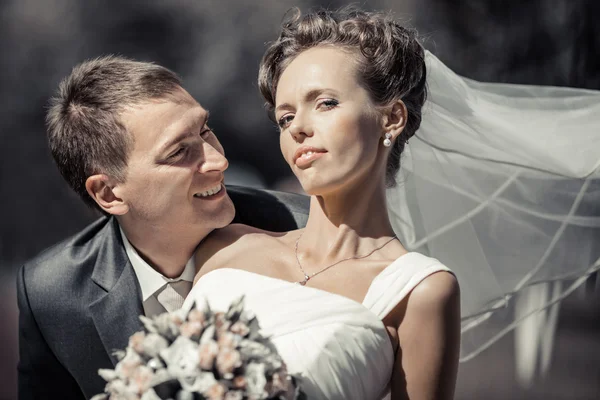 Pareja de boda — Foto de Stock