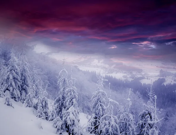 Winter scenery — Stock Photo, Image